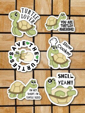 Cute Turtle Sticker Pack of 6 Vinyl Stickers Waterproof Die Cut Sticker Set